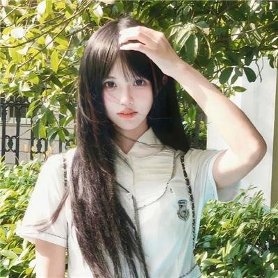 官能的法则