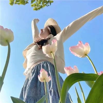 怪物岛(英语版)